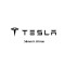 Tesla Car Logo Emblem M150-1
